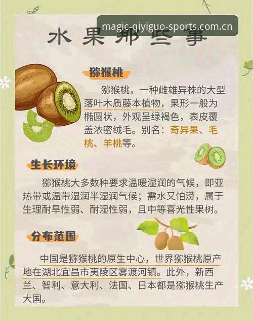 奇异果体育快速查询怎么样 5个关键点解析奇异果体育快速查询的实际表现与使用价值